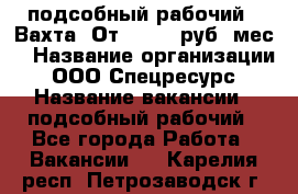 подсобный рабочий . Вахта. От 30 000 руб./мес. › Название организации ­ ООО Спецресурс › Название вакансии ­ подсобный рабочий - Все города Работа » Вакансии   . Карелия респ.,Петрозаводск г.